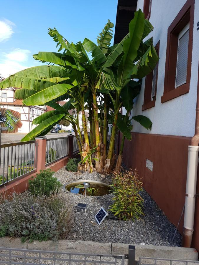 Marielies-urlaubsstube Apartment *