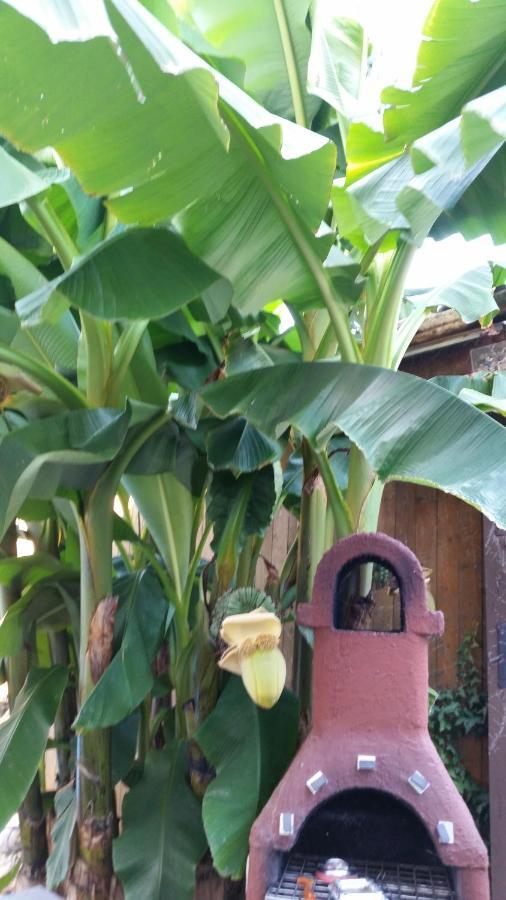 Appartement Marielies-urlaubsstube